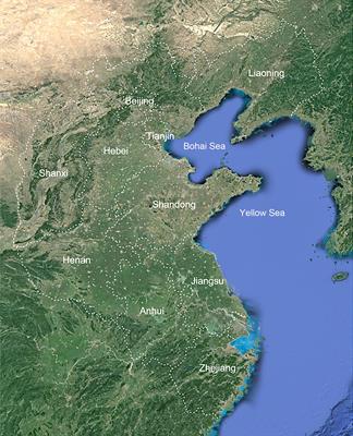 Floristic analyses of Shandong peninsula and adjacent areas indicate the barrier effect of the Yellow river on floristic diversity
